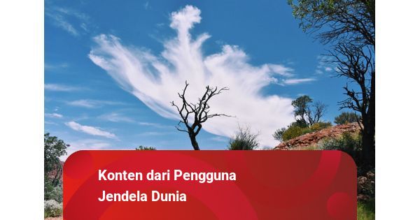 Warung Bu Diyun: Santapan Hangat di Jantung Adipala yang Tak Pernah Pudar